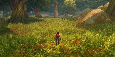 Blizzard закрыла на бете Forever бесконечный опыт за яблоки: повторяемое задание в Элвиннском лесу давало опыт каждую сдачу, и игроки обещали 30-й уровень за два часа