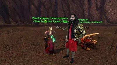 Турнир дуэлей The Forever Open выиграл чернокнижник Warlockguy: в главном финале он взял $50 000, победив другого чернокнижника